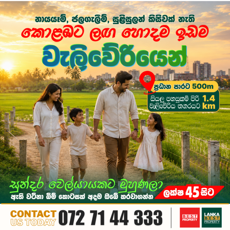 Paddy Field Facing Land Plots for Sale | වැලිවේරිය 🏡🌾