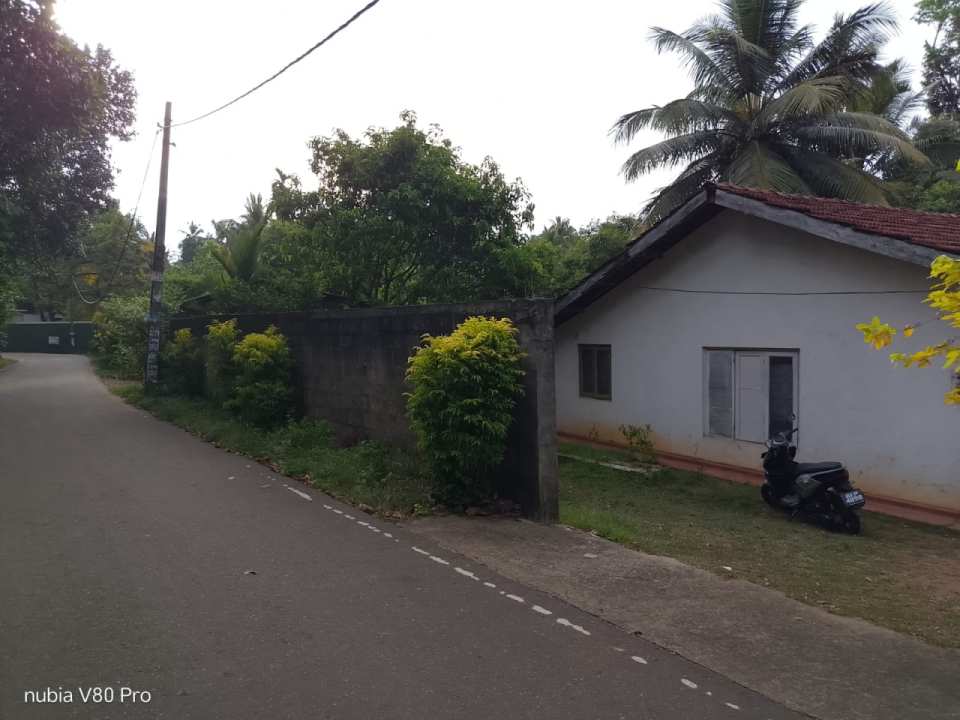 🏡 වැලිවේරියෙන් පර්චස් 14ක ඉඩම සමඟ පදිංචියට සුදුසු නිවසක් විකිණීමට! ✨