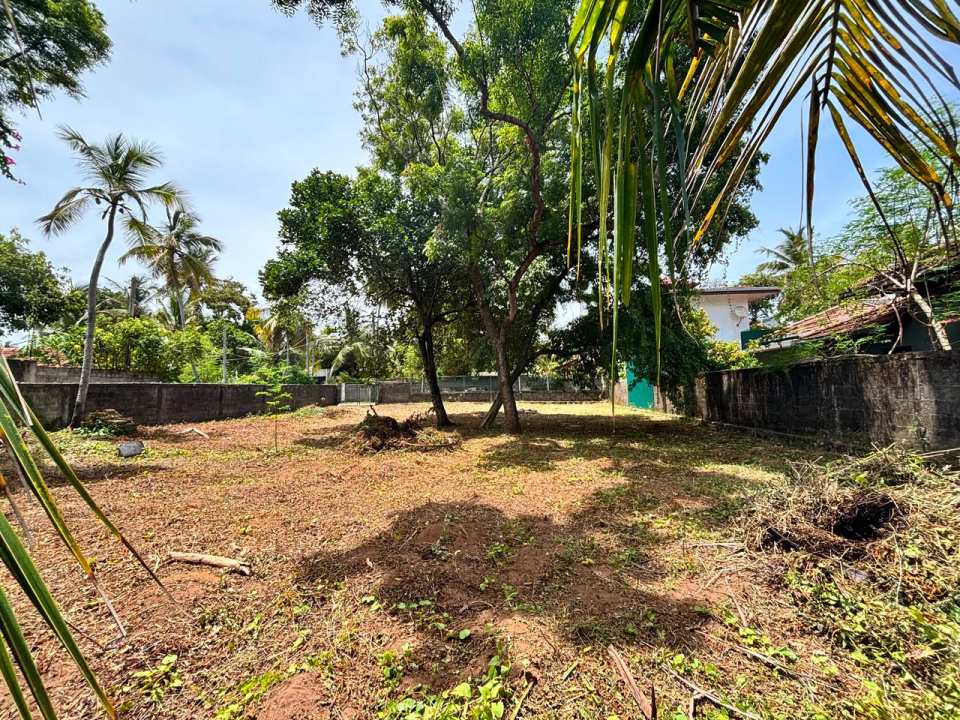 වාද්දුව වෙරළ පාරේ පර්චස් 24ක වටිනා ඉඩමක් විකිණීමට!